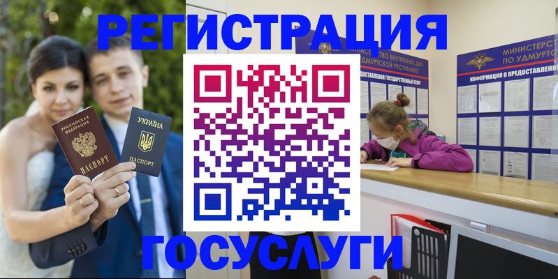 прописка поиск в Вязьме